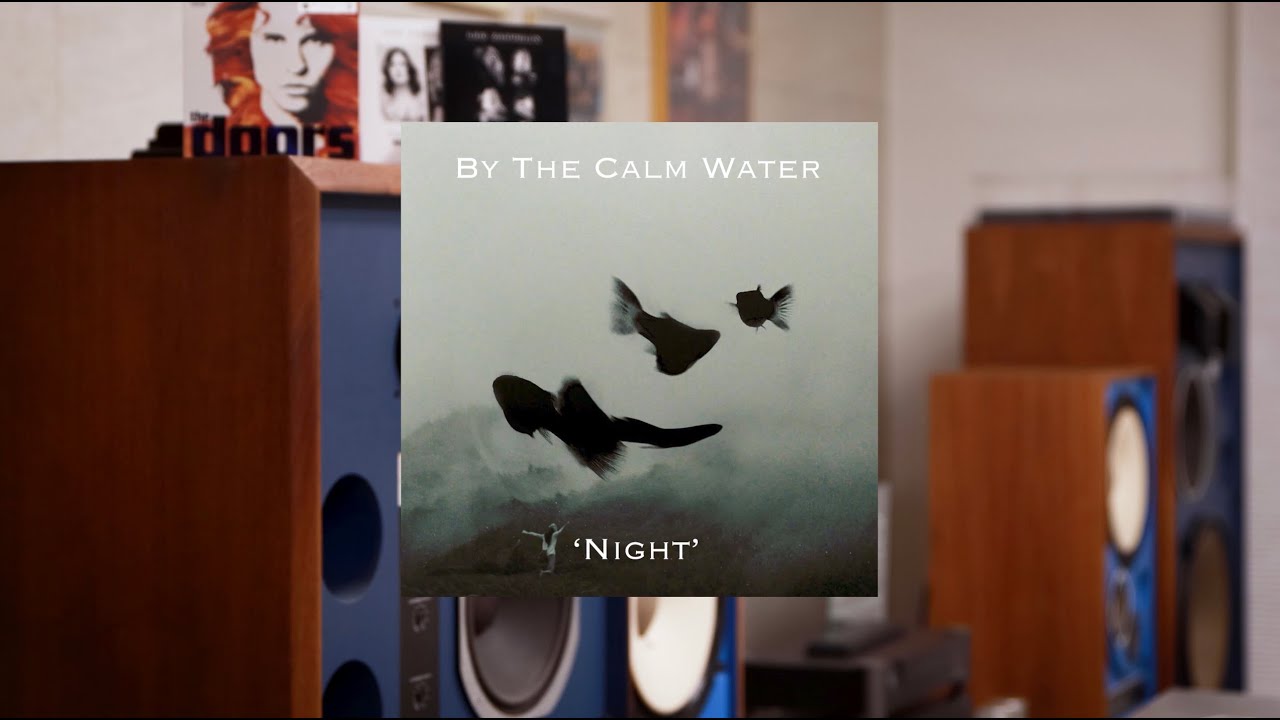 Night - by the calm water #audiophile
