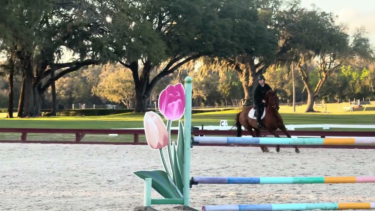 Kartano 1m course/school- catch ridden by YR 