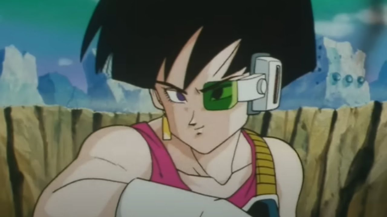 Dragon Ball Z: Budokai Tenkaichi 3 | Fasha