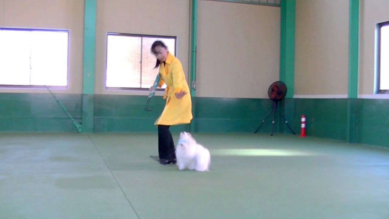 Akemi Itsui & Rintarou