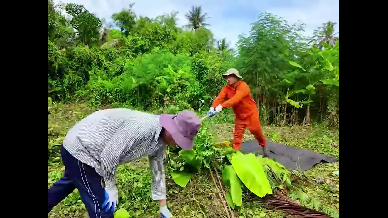 Cleaning the Most Neglected House in the City—Owner Had No One Left.