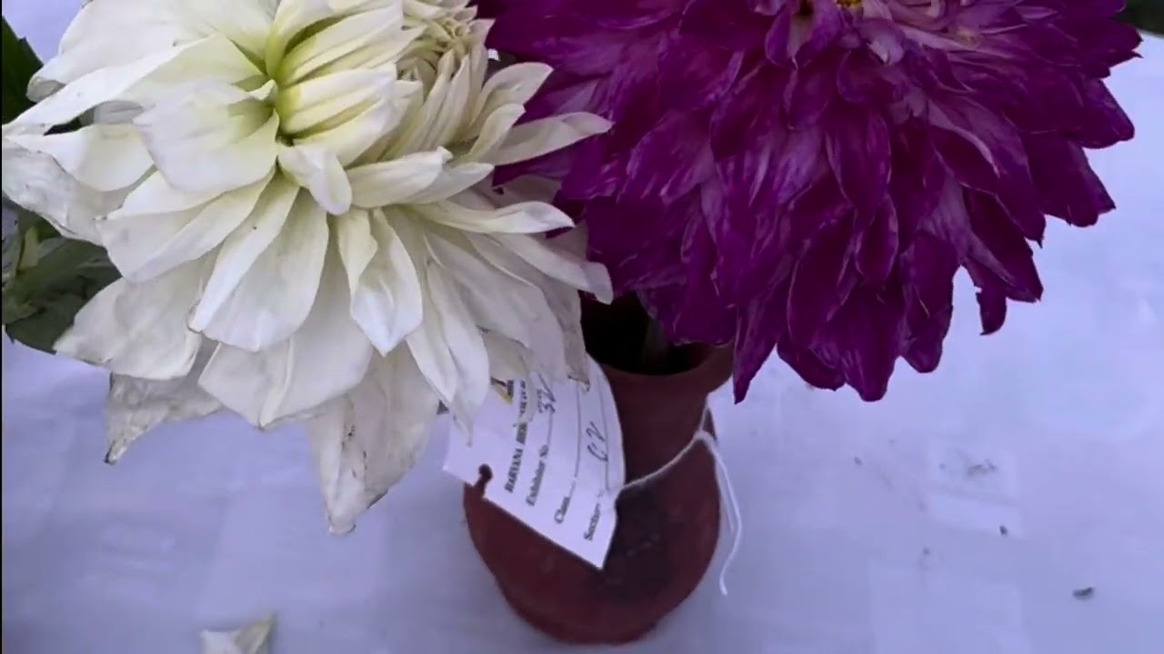 FLOWER SHOW