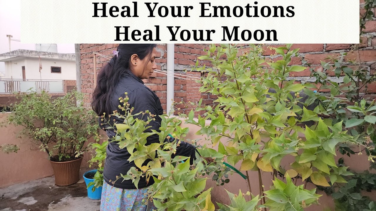 Why Your Mood Changes so Fast - Secret Behind your Emotions - Heal your Moon 