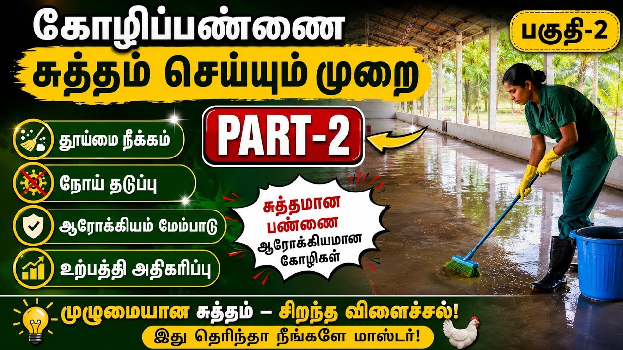 கோழி பண்ணை சுத்தம் செய்யும் முறை|Poultry Farm cleaning work part 2
