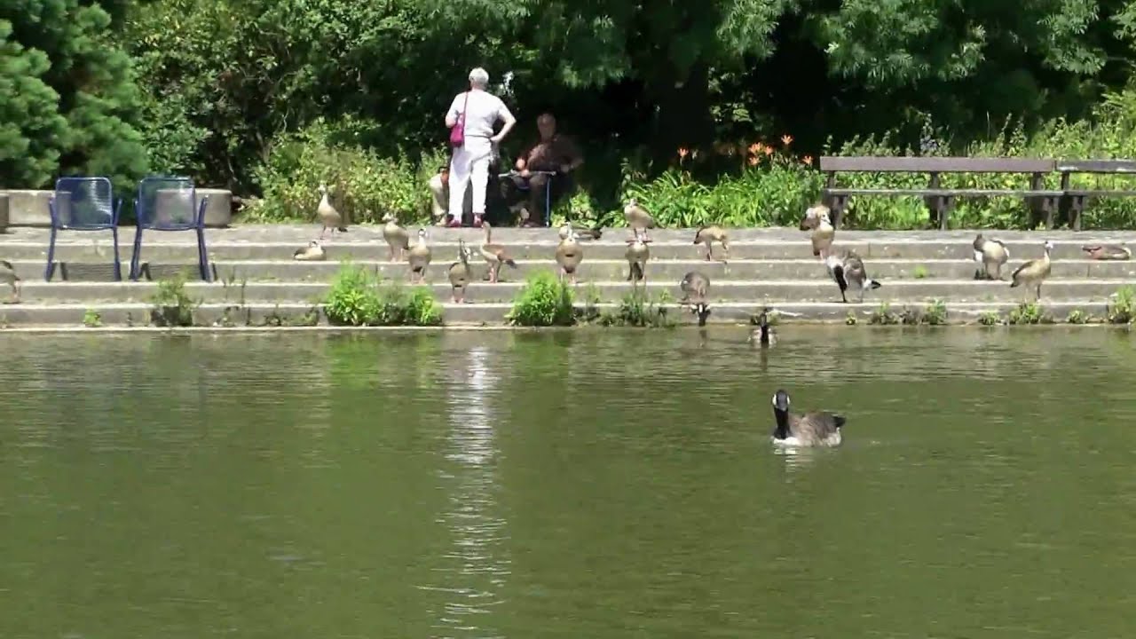 LUISENPARK MANNHEIM
