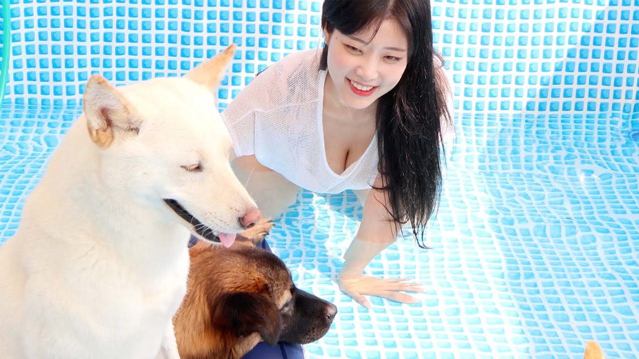 물에 빠진 강아지가 살기위해 주인을 이용한 방법은?!?