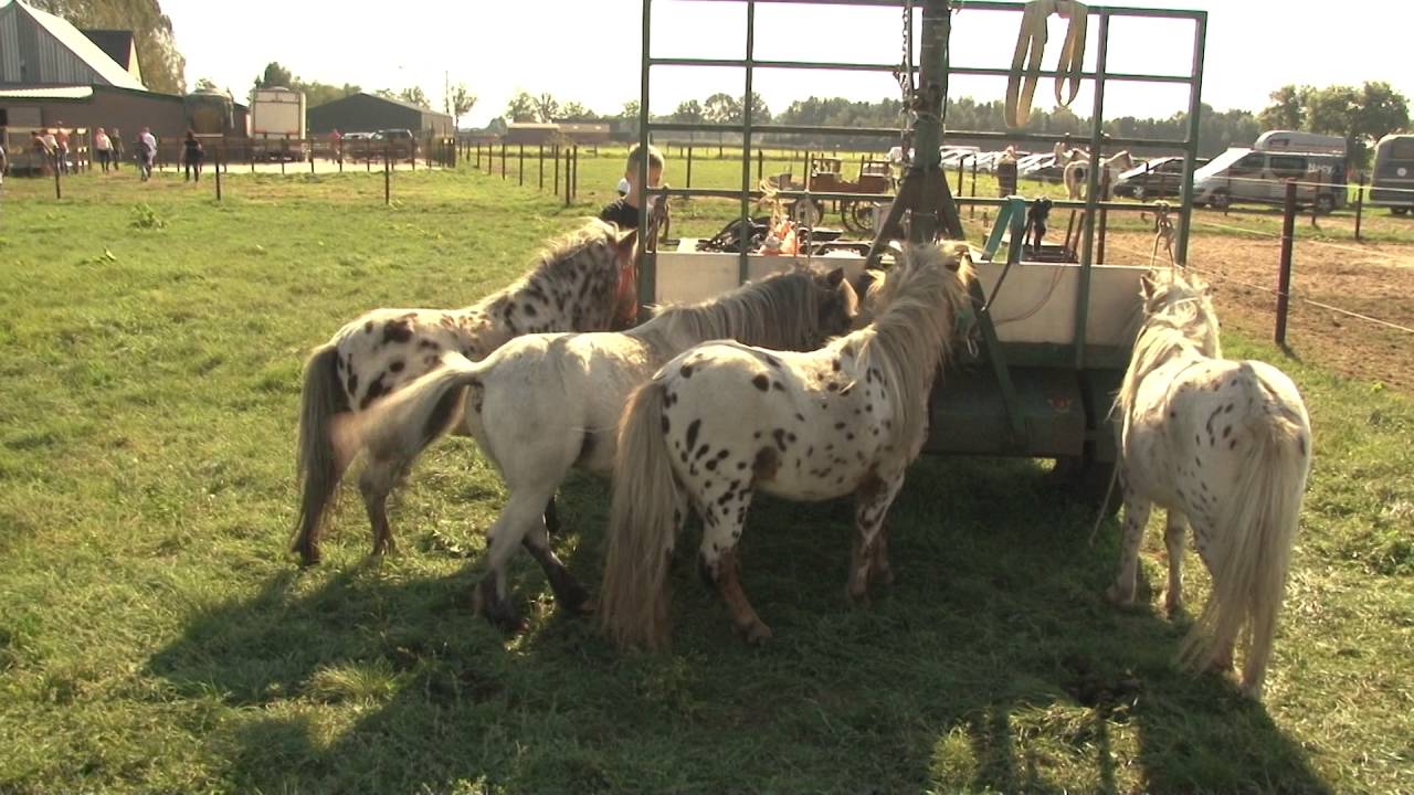 Opening Stal Doorstap