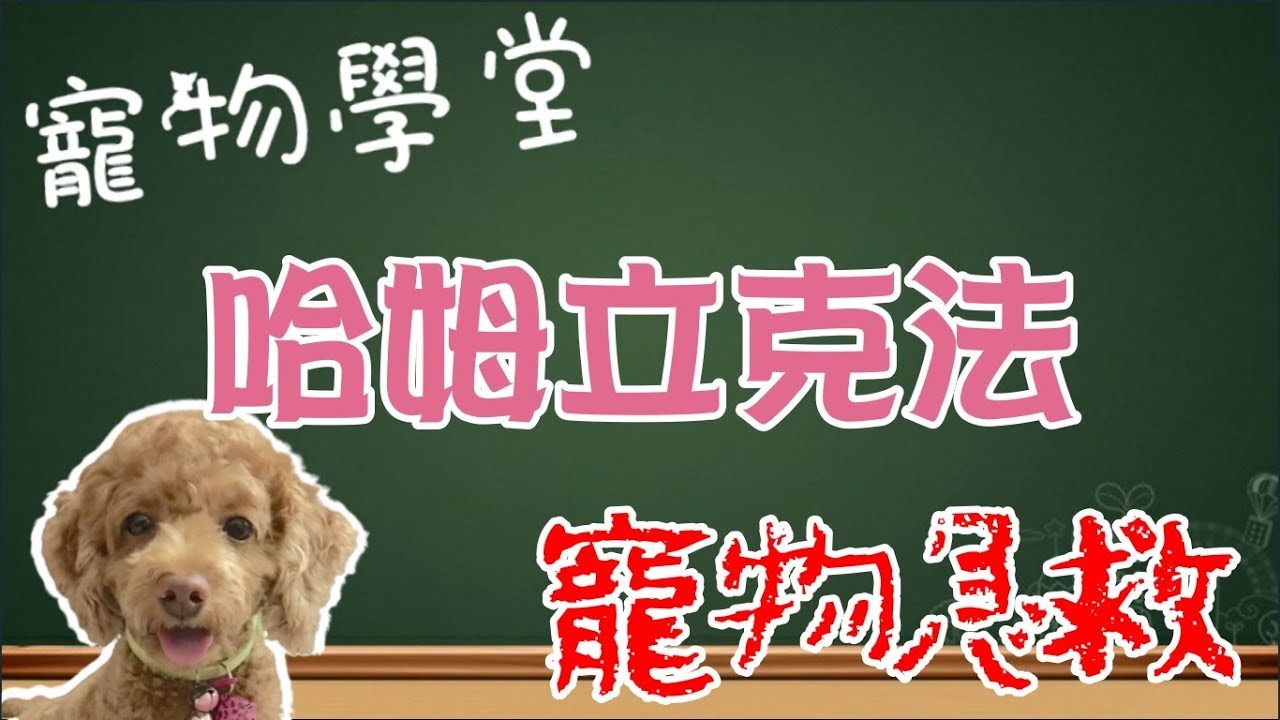 【寵物學堂#01】簡單四步驟  寵物的哈姆立克法 寵物噎到怎麼辦︖寵物急救一把罩