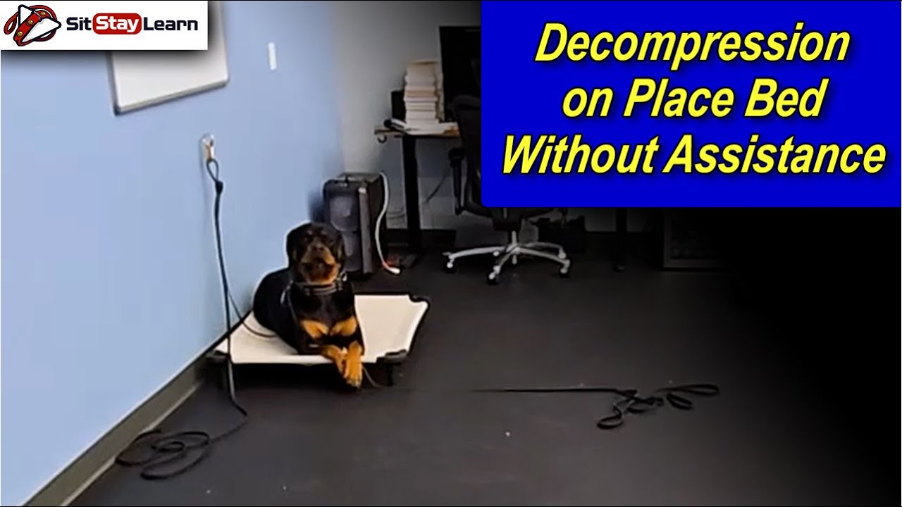 Decompression on Place Bed Without Assistance with Stephanie Vichinsky