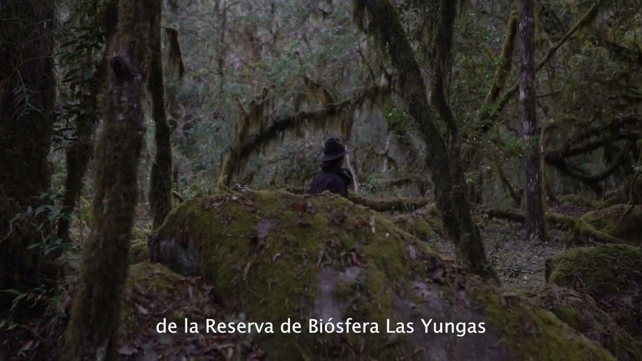 Plan de Gestión de la Reserva de la Biósfera Las Yungas