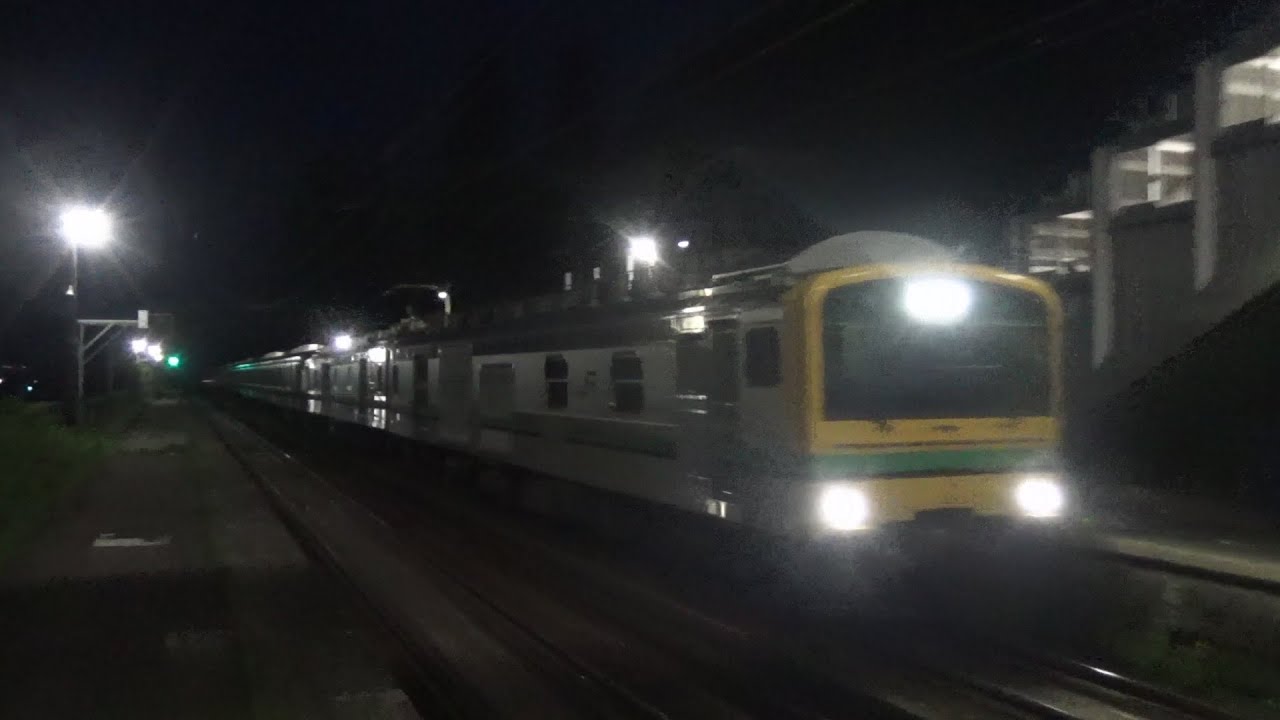 上越線 配9745M E493系牽引 E233系0番台 青461+青663編成 秋田入場配給　大沢駅通過