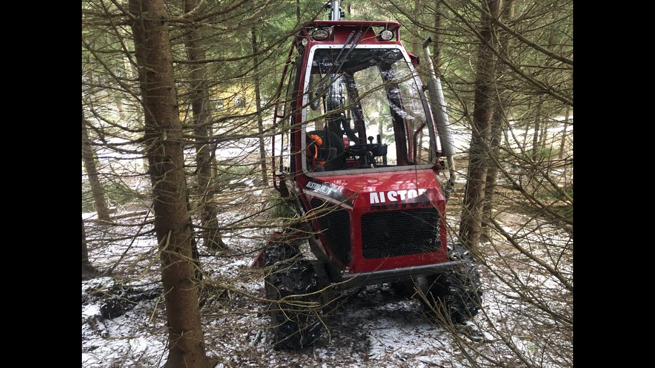 Alstor 840 Pro Tapio 160 First Thinning Spruce, Auto Mode