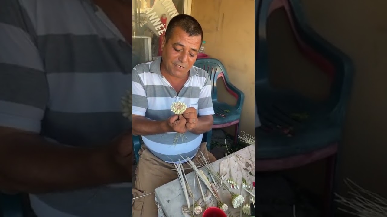 نجيو لطبلبة لازمنا مشموم من عند نعيم