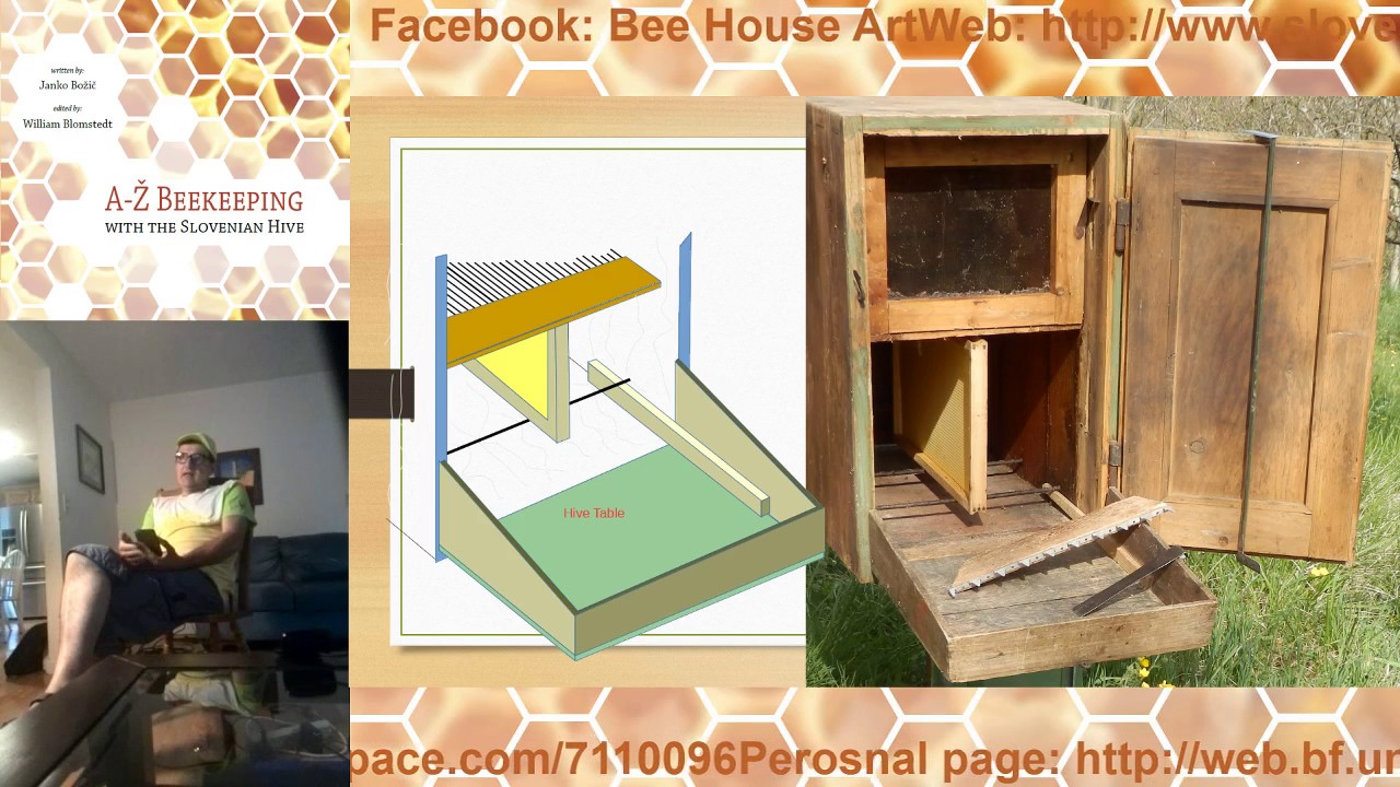 Slovenian apiculture, bees and hives history to present day and World Bee Day Initiative