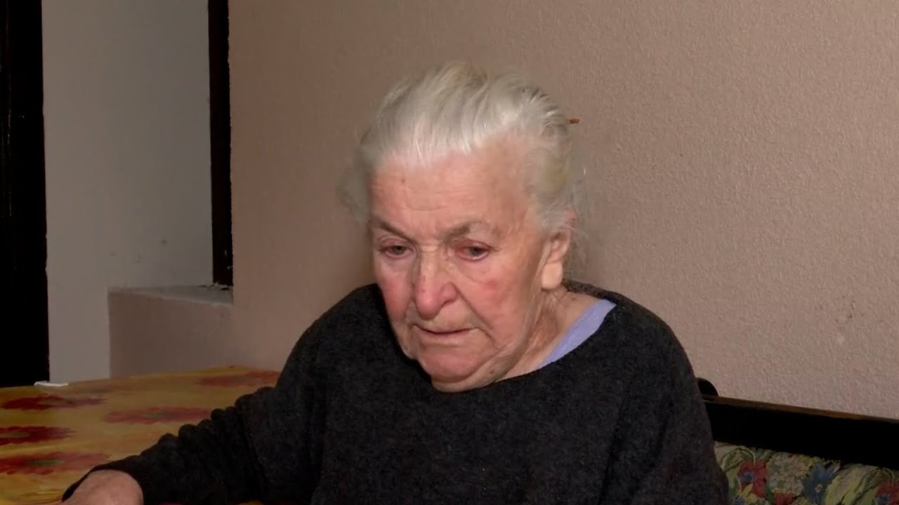 Snaja patrijarha Irineja