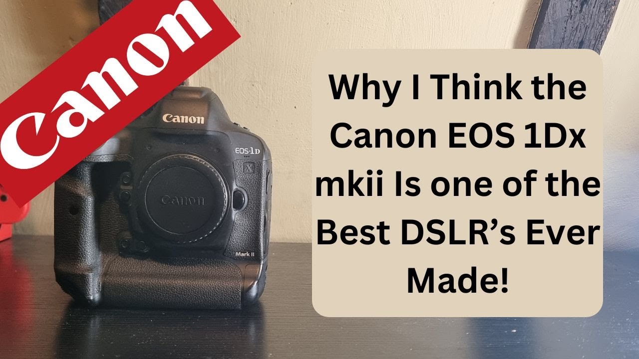 Почему я считаю, что Canon EOS 1Dx mkii — одна из лучших когда-либо созданных цифровых зеркальных...
