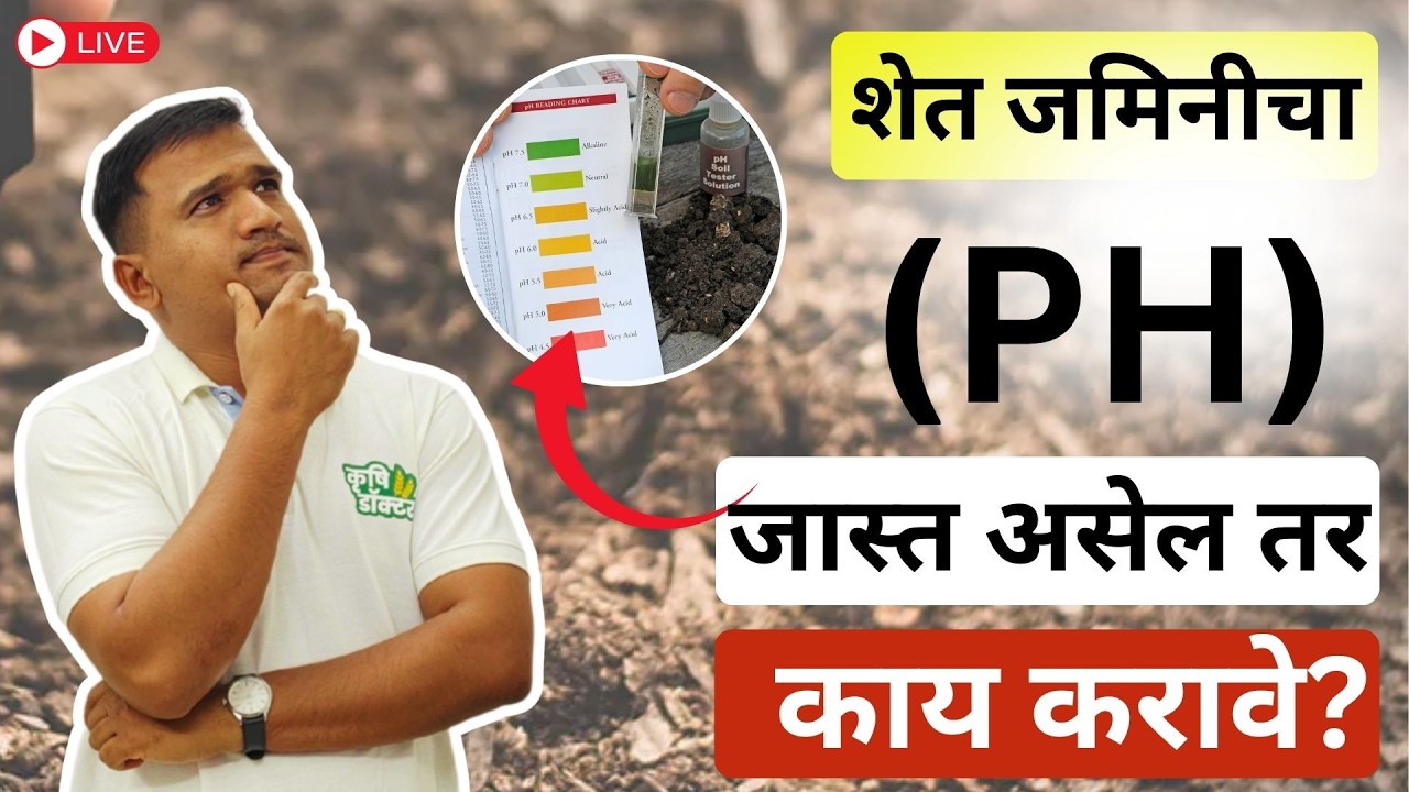 शेत जमिनीचा pH जास्त असेल तर काय करावे? 100% उपाय | High Soil pH Treatment | Krushi Doctor