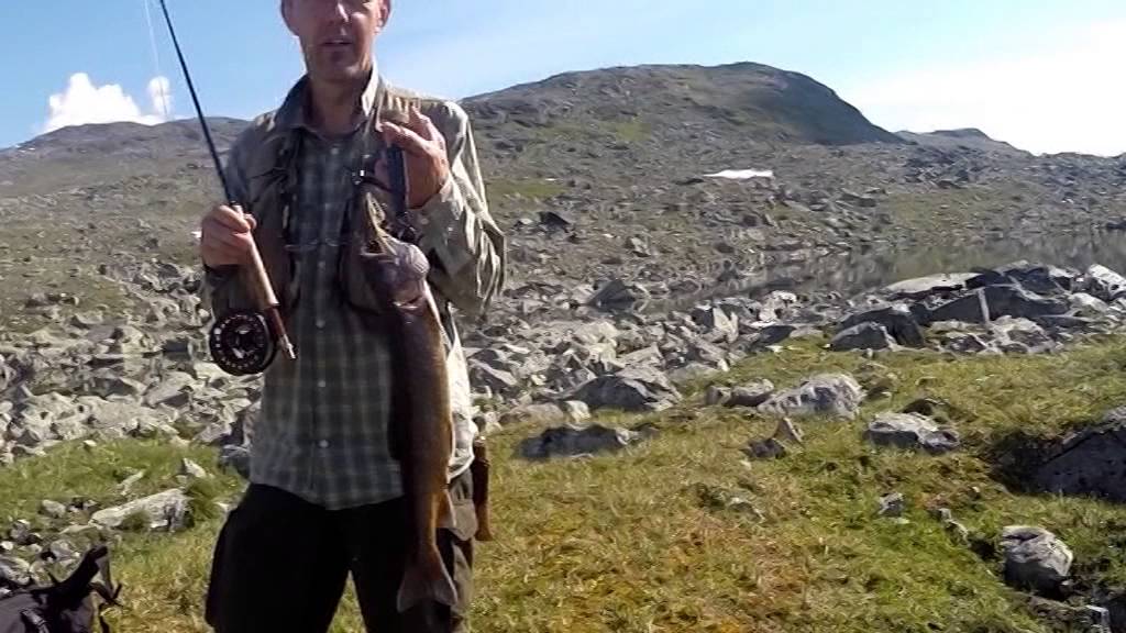 Röding i Kvikkjokk - Laponia