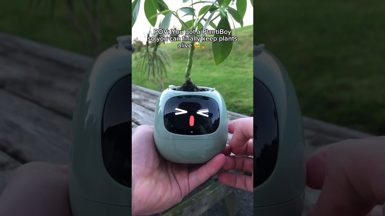The PlantiBoy is out now - Link in bio 🥰🪴  #planter #plants #cuteplanter #plantlover #viral