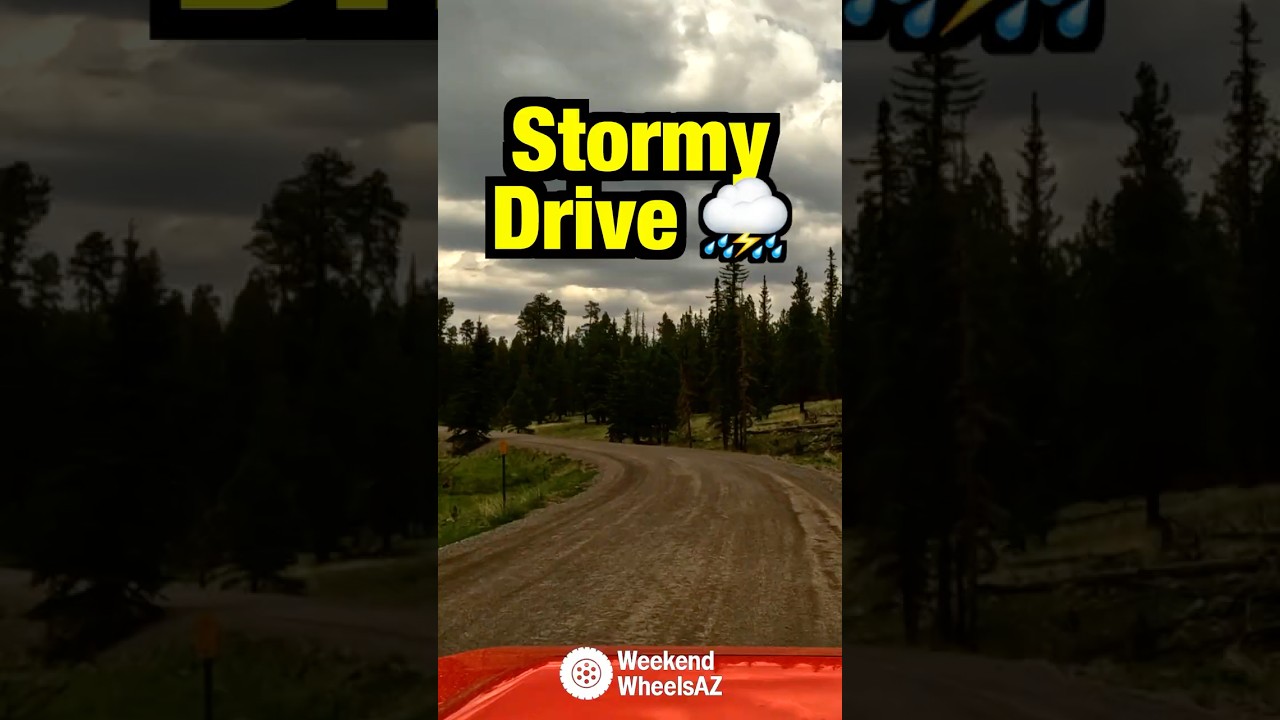 Arizona Monsoon Season 🌧️ Relaxing Drive in the White Mountains