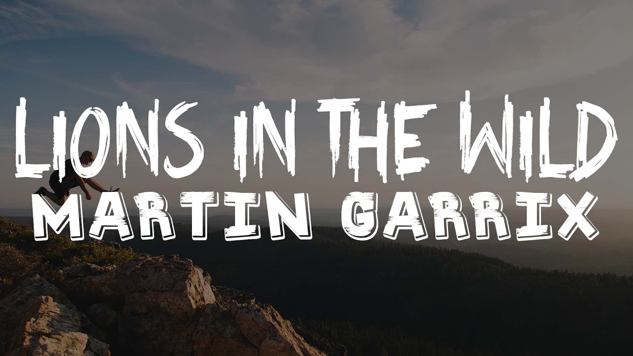 Martin Garrix & Third Party - Lions In The Wild (Lyrics)