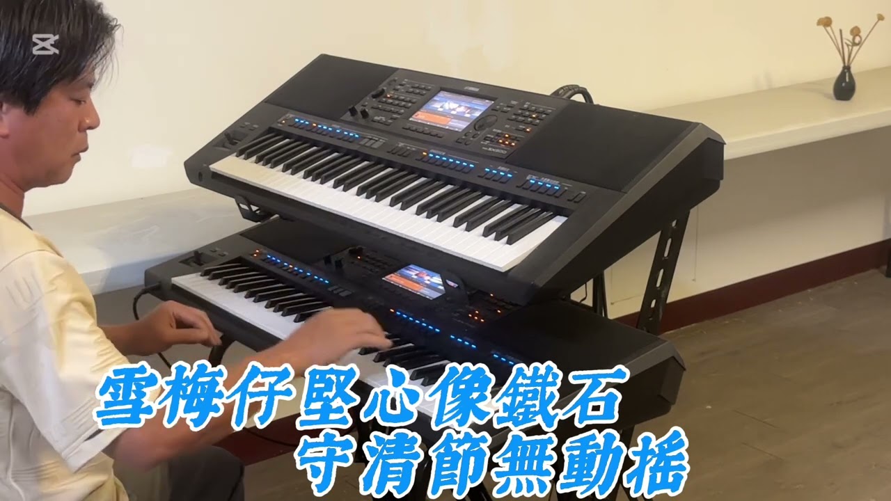雪梅思君（雙電子琴演奏）