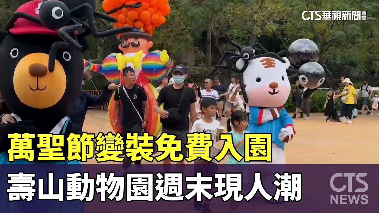 萬聖節變裝免費入園　壽山動物園週末現人潮｜華視新聞 20241027