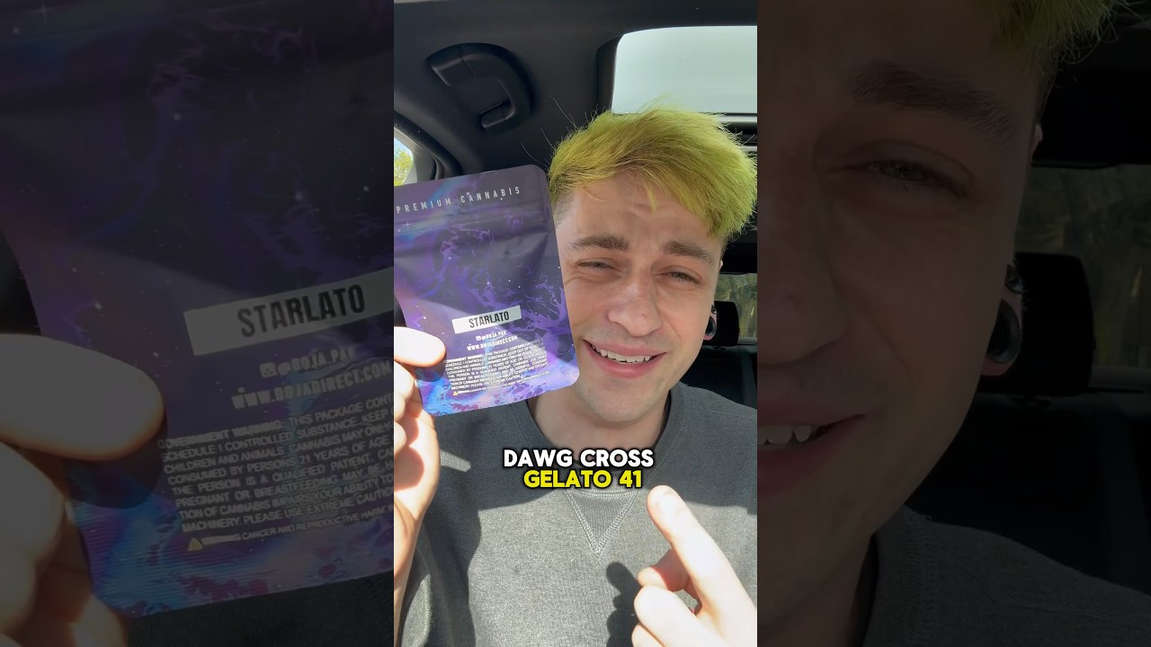 Doja stardawg x gelato 41&hellip; is it any good?