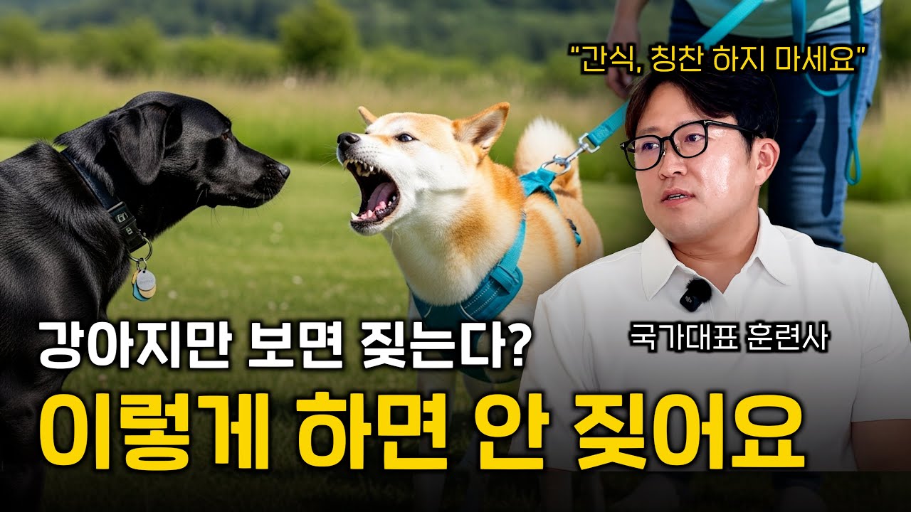 강아지가 짖어요? 국가대표 훈련사가 제대로 알려드립니다 | 멍터뷰ep.27