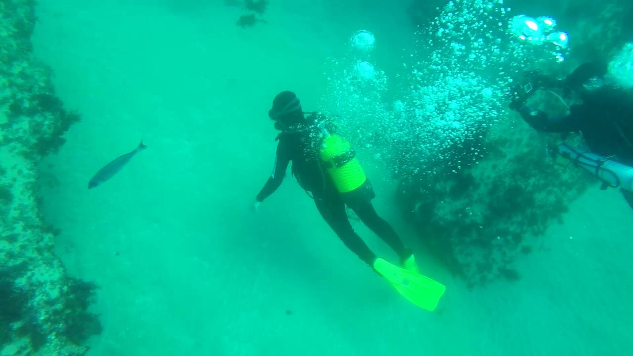 Buceo Tarifa. Punta marroquí / Diving Tarifa