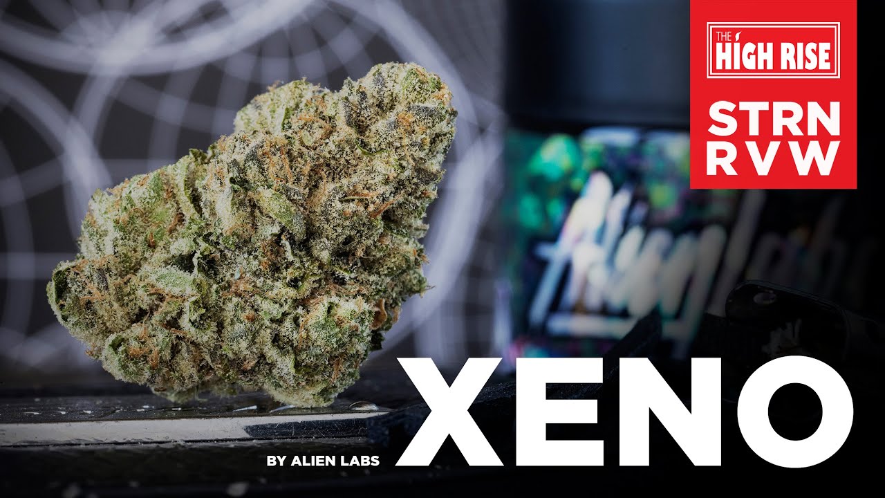 XENO Strain Review: Alien Labs