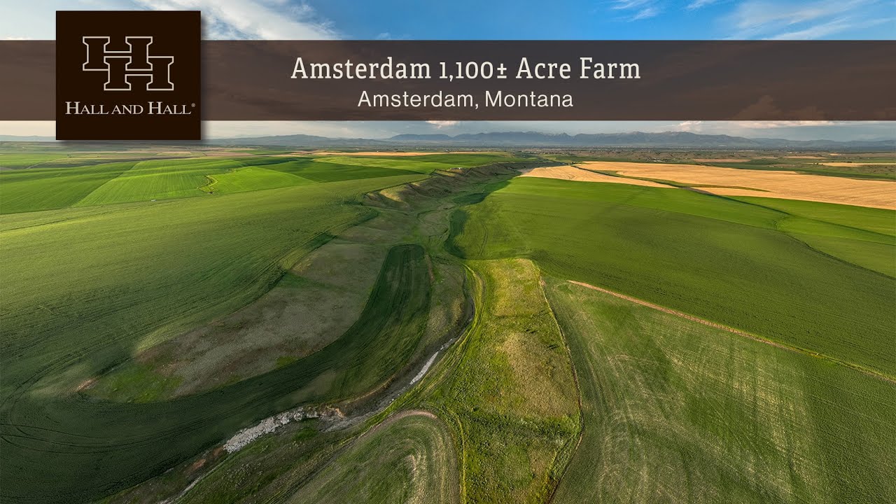 Montana Farm For Sale - Amsterdam 1,100&plusmn; Acre Farm