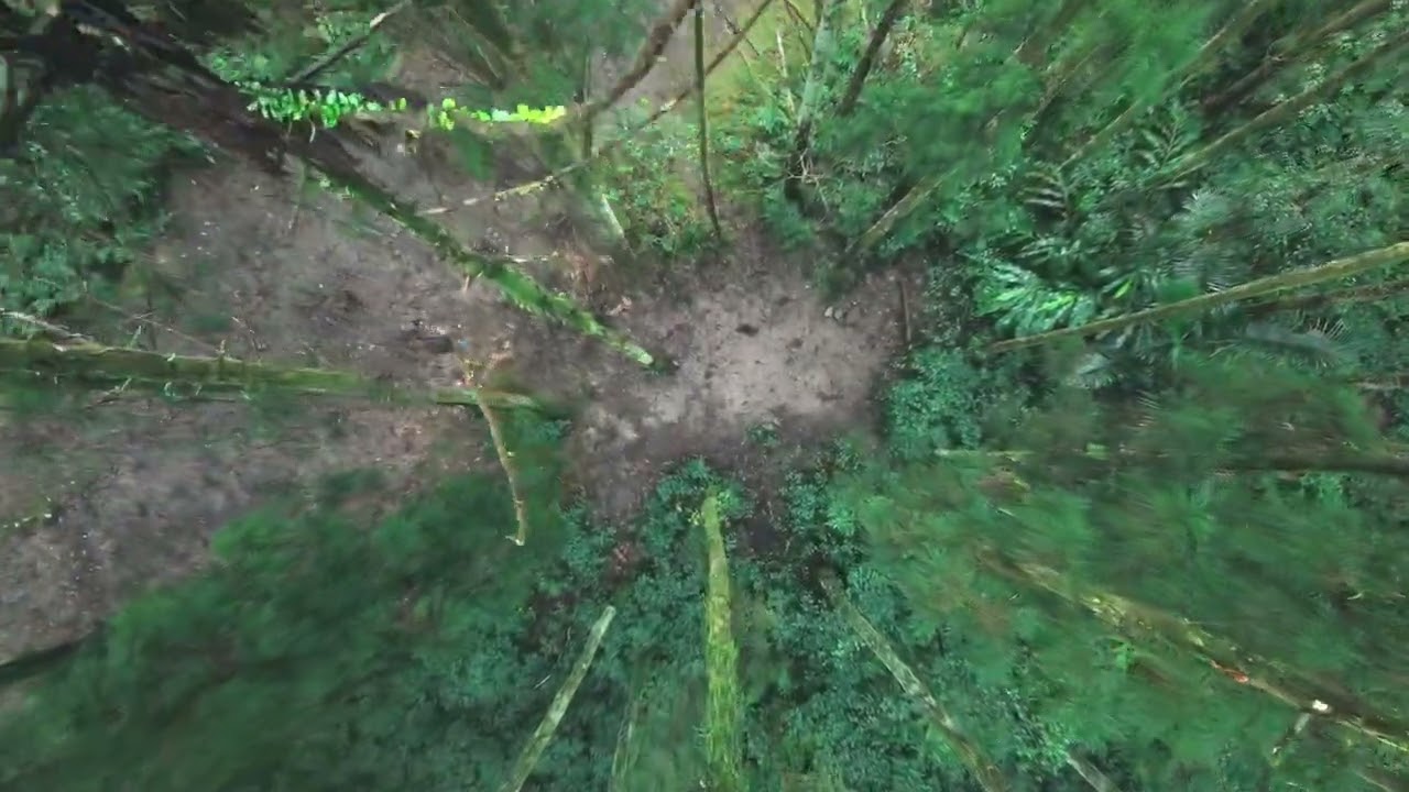 深山林內 / 賢空拍 251