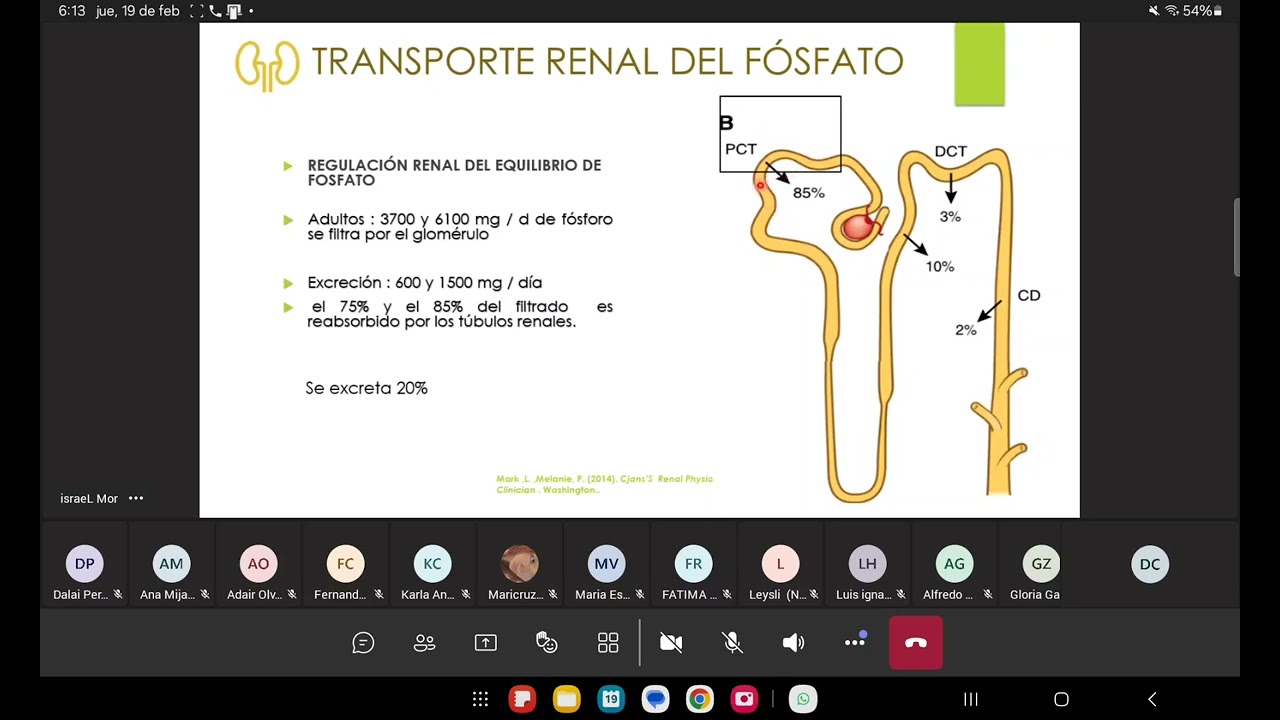 18VA CLASE DE NEFROLOGIA - 2DO PARCIAL fósforo 1era parte