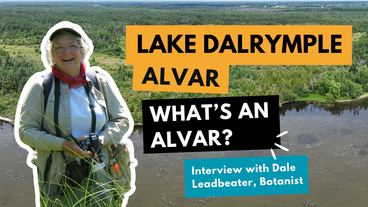 Lake Dalrymple Alvar | What's an Alvar? Interview with Dale Leadbeater