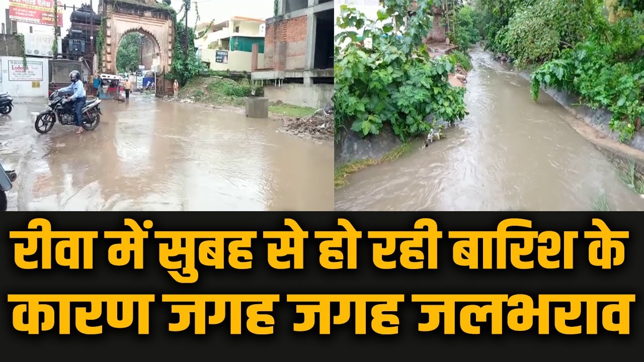 रीवा जिले में बदला मौसम का मिजाज, सुबह से ही जोरदार वर्षा का दौर जारी