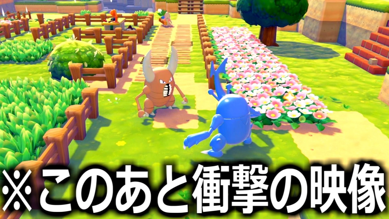 カイロスとヘラクロスを同じ家に住ませた結果やばすぎた。【ぽこ あポケモン】実況プレイ #9