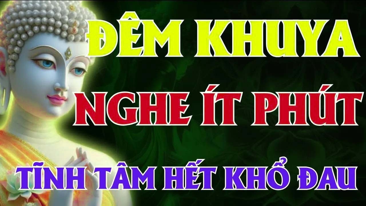 Tại Sao Bạn Vẫn Khổ Đau_ Lời Phật Dạy Sẽ 'Khai Sáng' Cho Bạn Ngay Lập Tức _ Lời Phật Dạy
