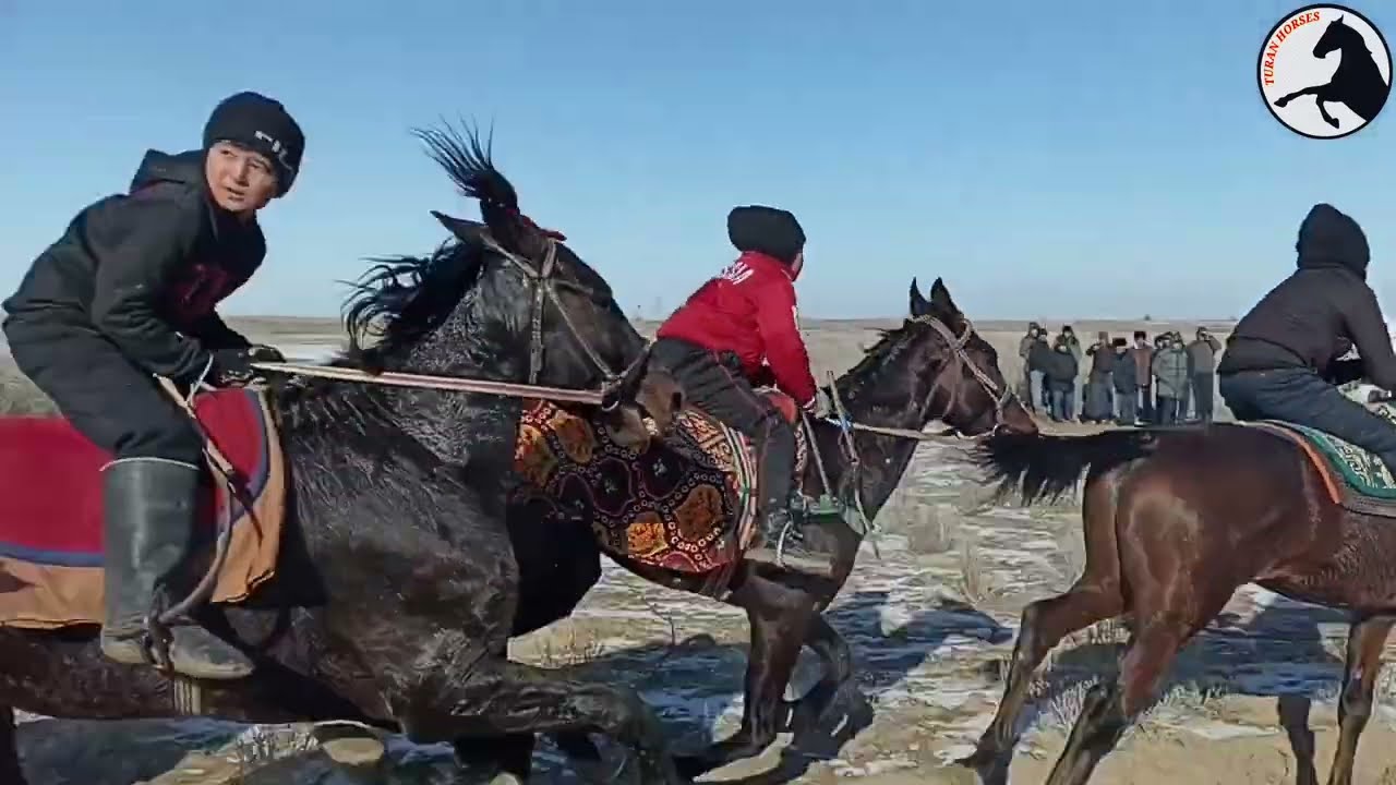 25 01 2024 Шахаманда байге Парахат келин той