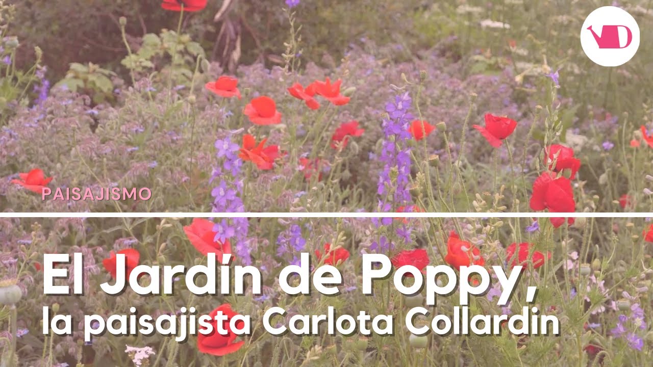 La Chacra de Poppy un diseño pensado para cada especie