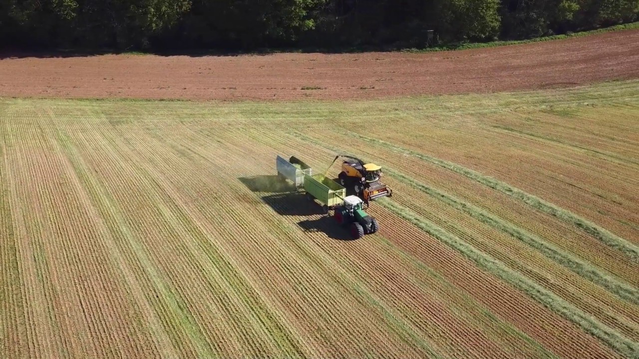 Häckseln Frühjahr 2020/ Fendt Vario 939/ New Holland FR550 forage cruiser