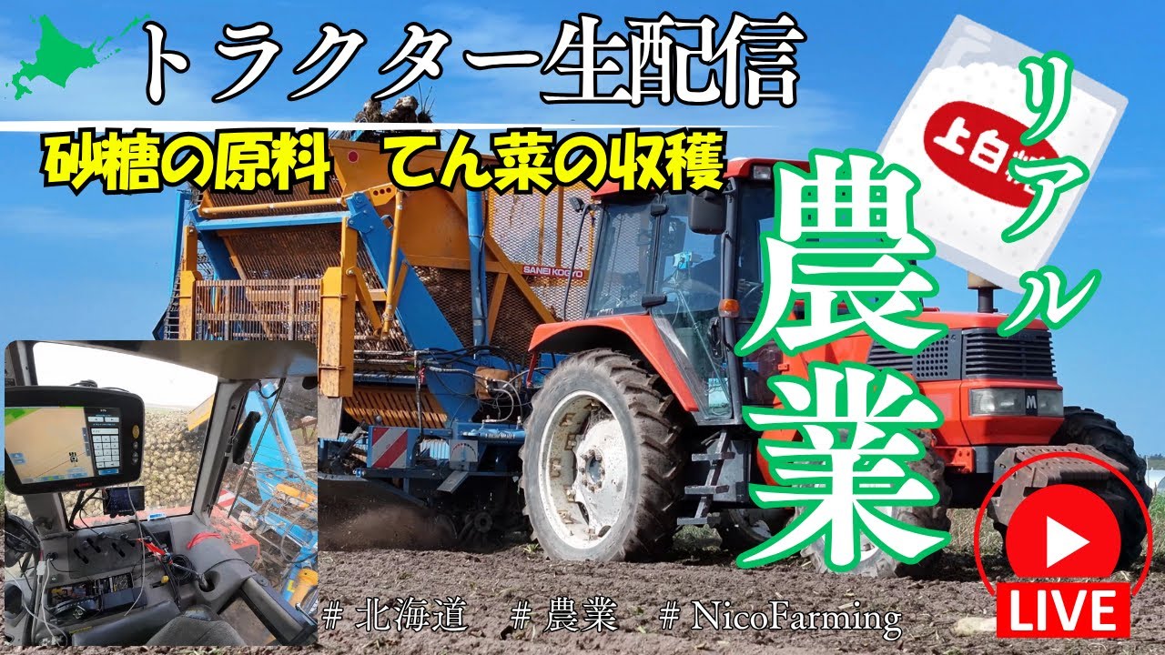 【北海道農業】砂糖の原料「てん菜」の収穫作業を生配信 【トラクターから生配信】