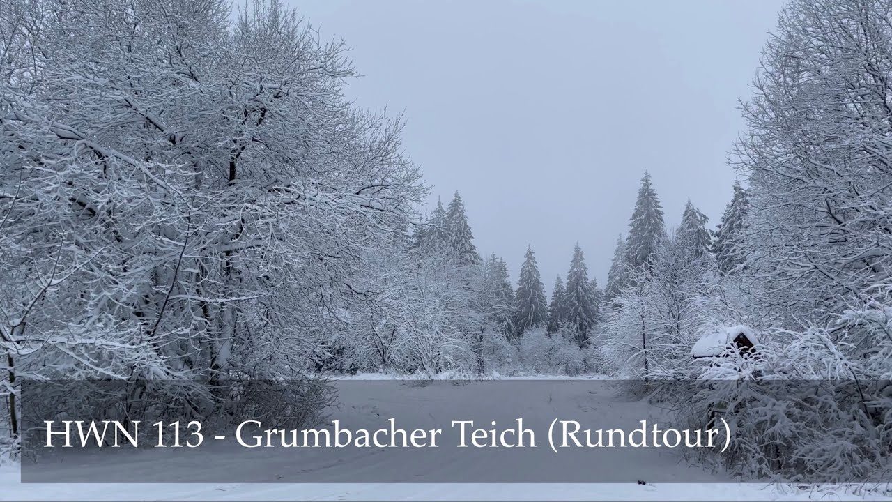 Harzer Wandernadel HWN 113 - Grumbacher Teich Rundtour (Winter/Schnee)