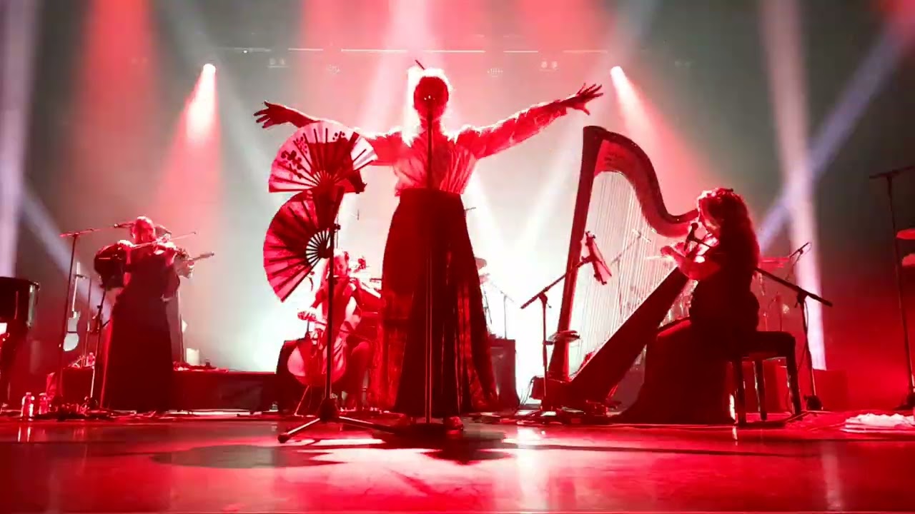 NEKO LIGHT ORCHESTRA   AKIRA   PLEYEL 07 06 25
