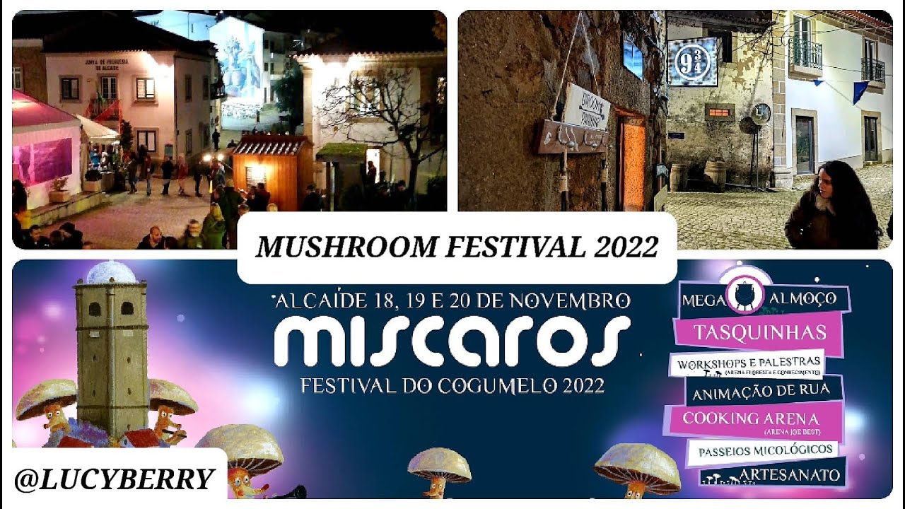 Miscaros Mushroom festival 2022 | Alcaide Portugal