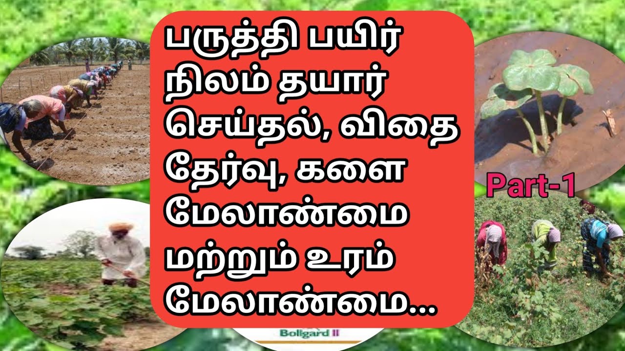 பருத்தி சாகுபடி | Cotton cultivation @vivasayapokkisham | Part-1