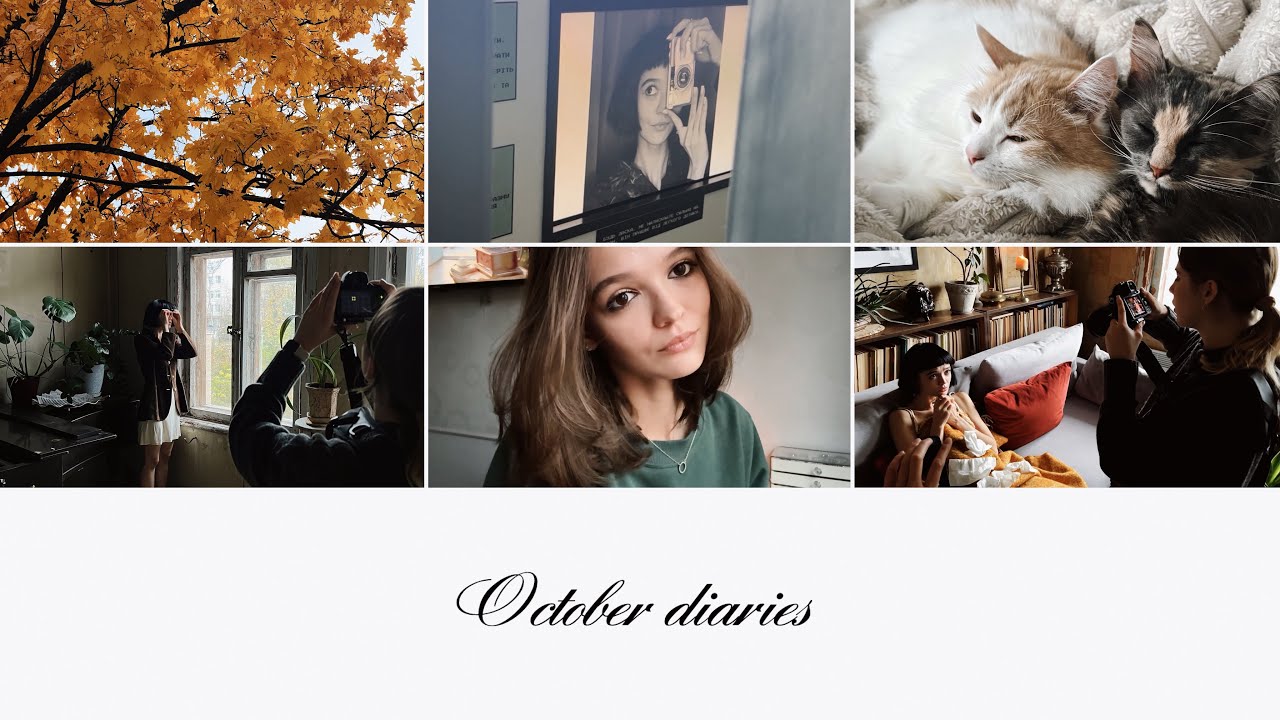 vlog | кінопокази, фотосесія Amelie, театр та зустрічі з друзями 