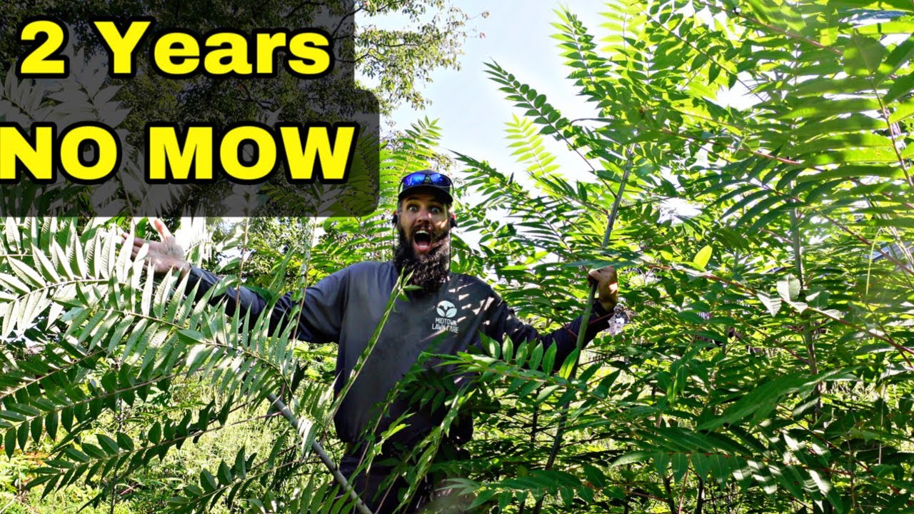 Neighbor Threatens Eldery Couple For Overgrown Lawn