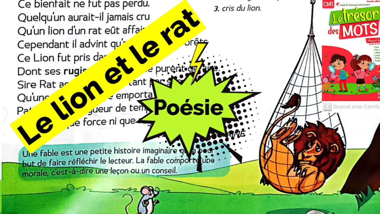 Le lion et le rat ( poésie)