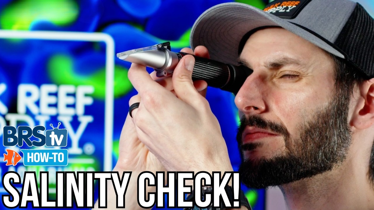 How to Use a Refractometer for Reef Tanks